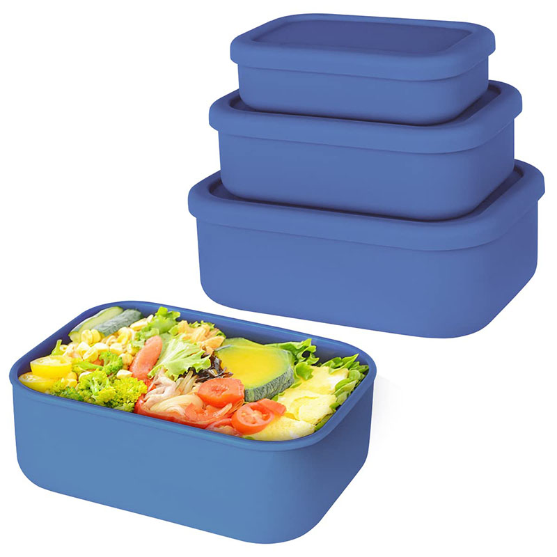 Caixa de almoço Bento resisten - Food Storage 30 Years avaliação e preço