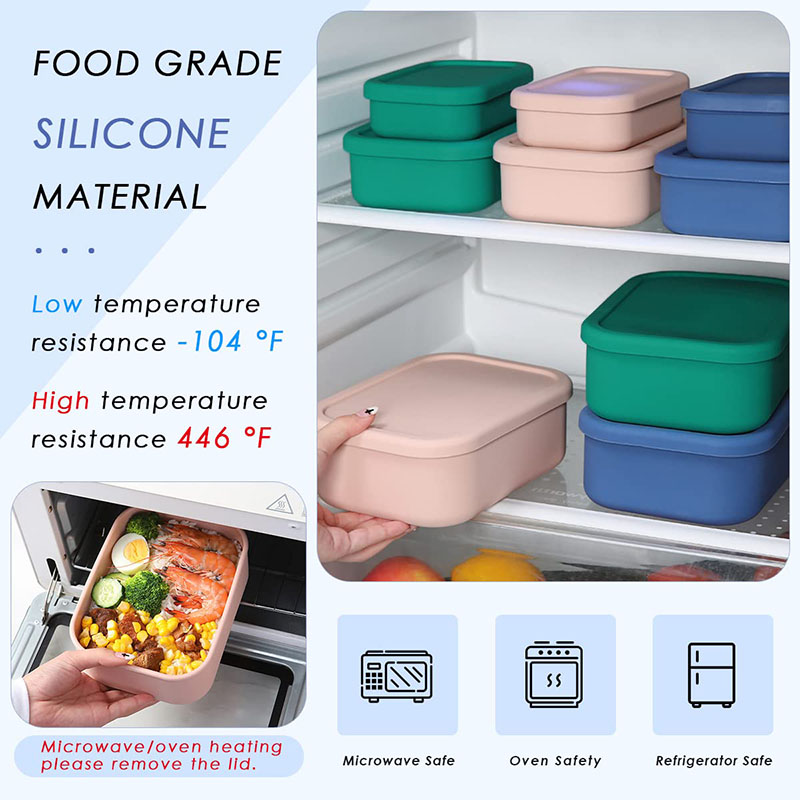 Caixa de almoço Bento resisten - Food Storage 30 Years avaliação e preço